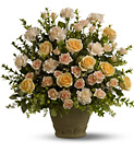 Teleflora's Rose Remembrance from Olney's Flowers of Rome in Rome, NY
